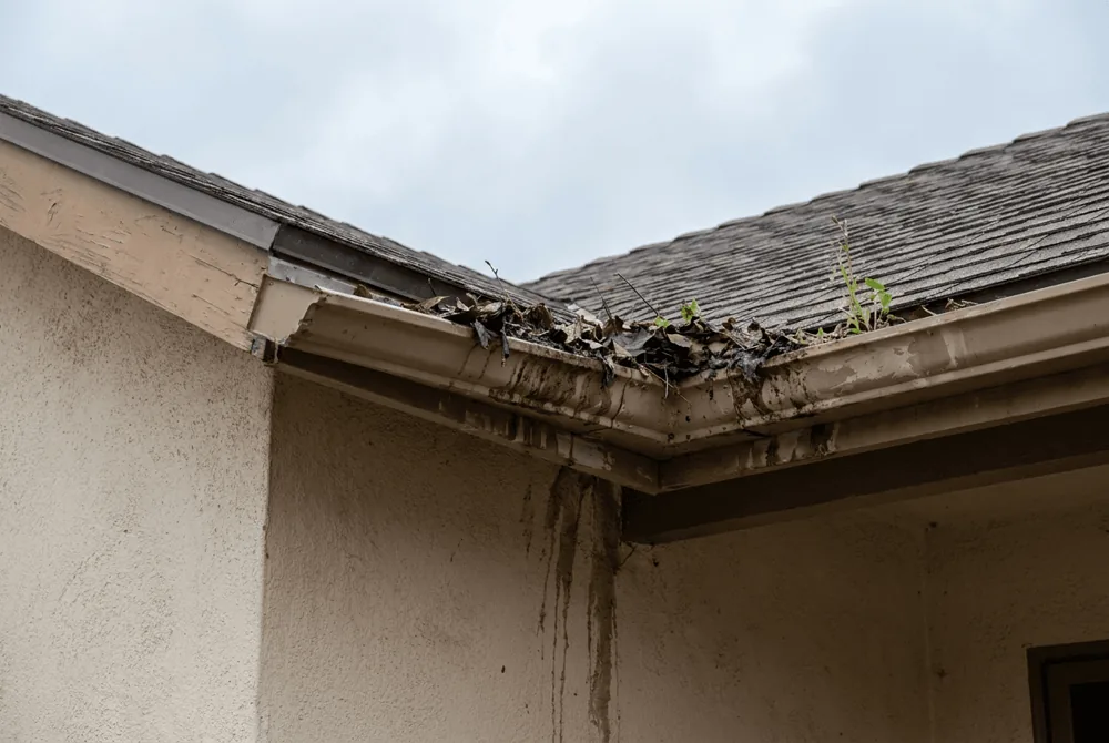Clogged gutter before cleaning