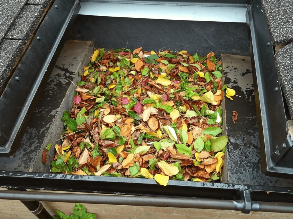 Rooftop drain box clogged with colorful fallen leaves needing cleaning