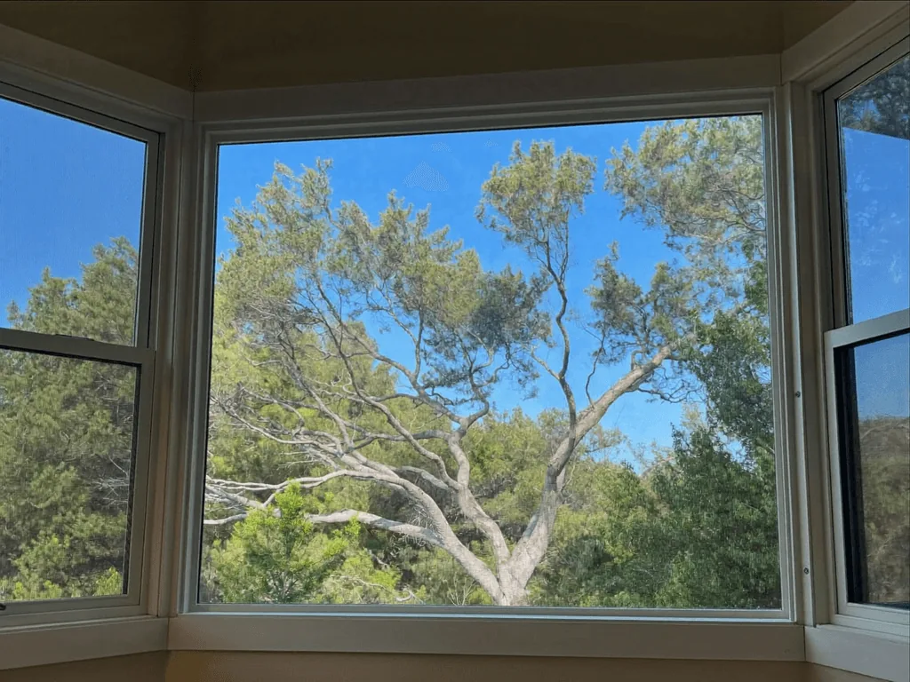 Crystal-clear bay window framing a tree against blue sky after cleaning