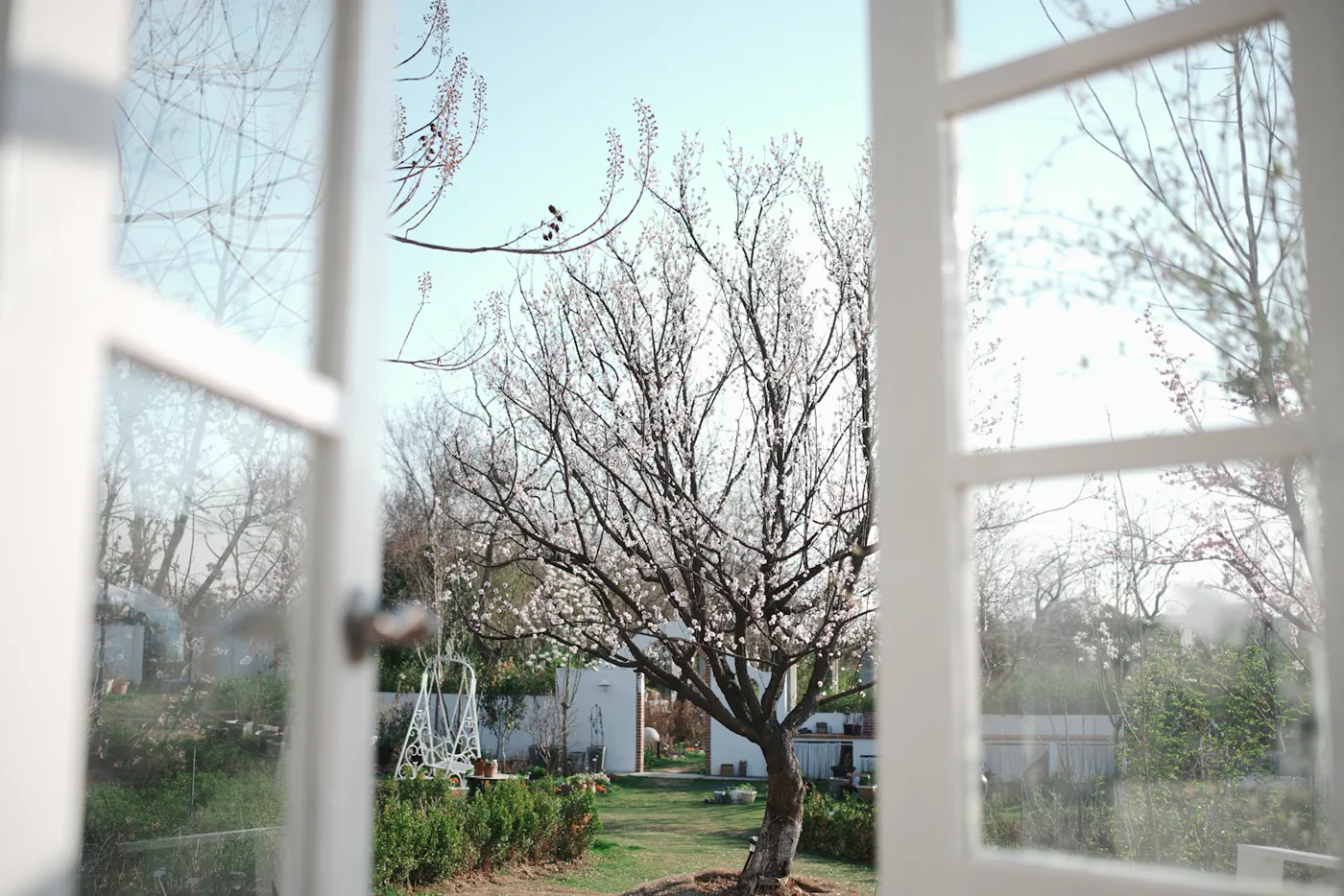 Spotless windows in a Conejo Valley home