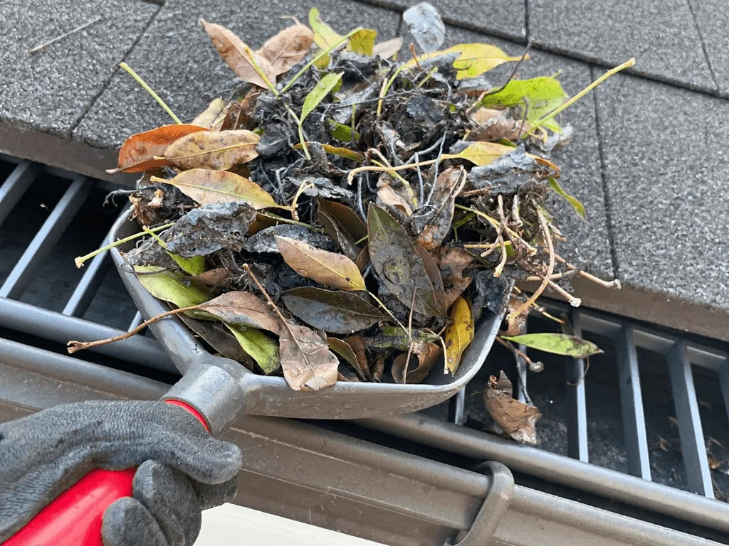 Gloved hand scooping wet leaves and debris from a roof gutter
