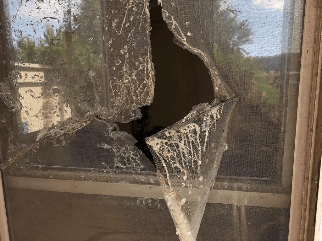 Cracked broken window glass needing repair or replacement